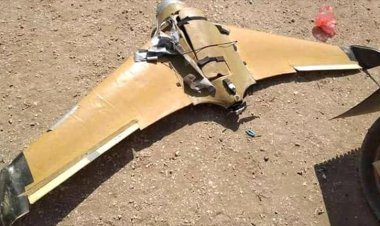 43 عمالقة يسقط طائرة حوثية جنوب الحديدة