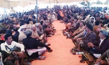 أبين.. تحكيم قبلي ينهي خلاف بين قبيلتي آلـ لقموش وآلـ لحاق بأحور.