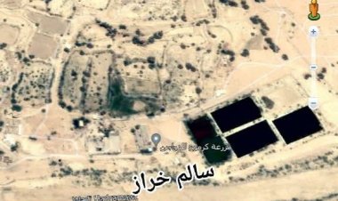 في أسرة الابتكار: تحويل العدم إلى دخل مُحسن