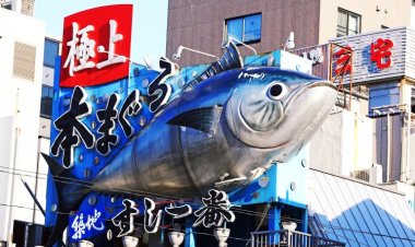 بيع سمكة تونة في اليابان بـ1.34 مليون دولار في مزاد لهذا السبب