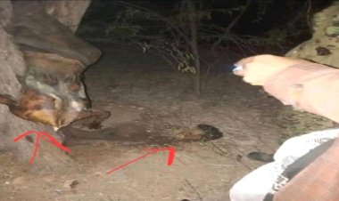 العثور على جثة شخص مذبوحاً في مديرية المحفد بمحافظة أبين