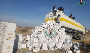 حزام يافع يحبط عملية تهريب شحنة أدوية ومبيدات سامة