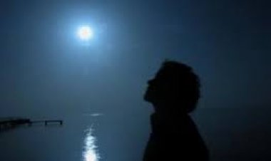 { هذه} التي سهّرتني طوال الليل!