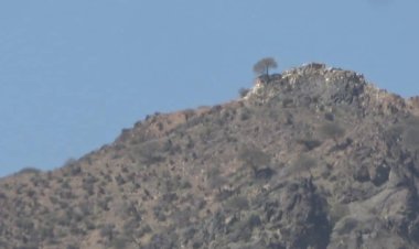 الضالع : المليشيات الحوثية  تستحدث مواقع جديدة في جبهة تورصة بالازارق