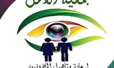 رئيسة جمعية الأمل للمكفوفين بأبين توجه رسالة شكر وتقدير لمحافظ أبين على تجاوبه في علاج الطفل الكفيف علي أمين المصاب بسرطان العيون