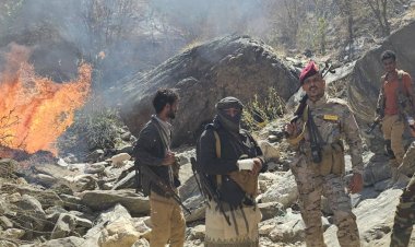 القائد نصر عاطف ... أسد إلوية الدعم والإسناد