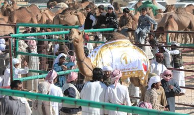 استمرار منافسات أشواط المزاينة ضمن مهرجان اتحاد شباب الغد بالمهرة