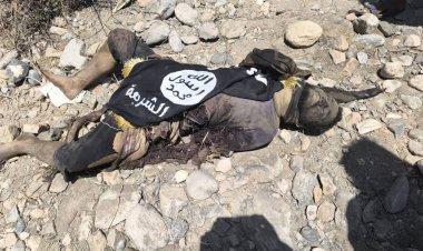 3 قتلى من تنظيم القاعدة وشهيد من القوات الجنوبية في عمليات عسكرية نفذتها ألوية الدعم والإسناد شرق أبين