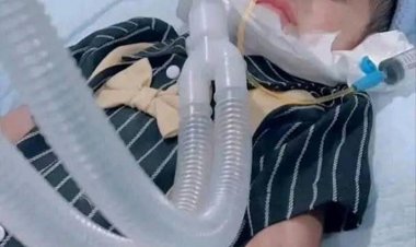 حملة تبرعات إلكترونية بعدن لشراء الحقنة الجينية "زولجينسما" لإنقاذ حياة الطفل مجد بقيمة  2 مليون دولار