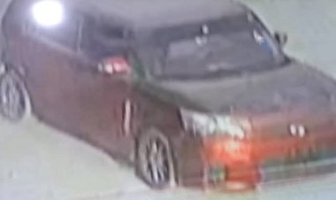 القبض على شخص قام بسرقة مجموعة من الأغنام من أحياء منطقة فوة بحضرموت