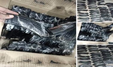 شبوة ..إحباط عملية تهريب 43 كرتونًا من مخازن الذخيرة بمدينة عتق