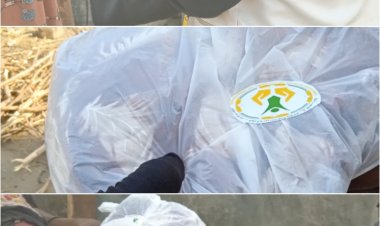 مؤسسة سفراء الخير توّزع كسوة العيد للأيتام والمعدمين من الأسر المحتاجة بمنطقة القرنعة بأبين