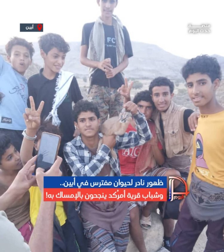 ظهور نادر لحيوان مفترس في أبين.. وشباب قرية أمرُكد ينجحون بالإمساك به!