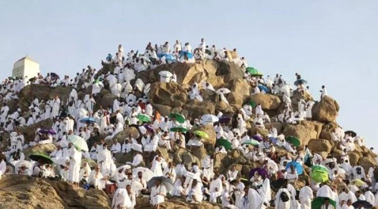 الحجاج يصعدون عرفات لأداء الركن الأعظم وسط إجراءات احترازية مشددة