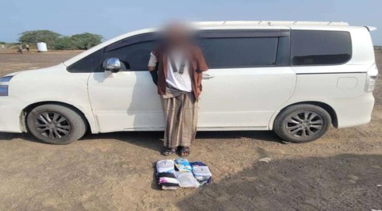 أبين .. حزام الساحل يضبط متهم بحيازة خمسة كيلو من الحشيش بشقرة