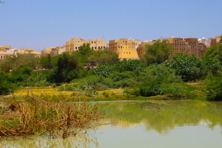 صور لنهر الخارد بعد عودته من أمام مدينة شبام الوجهة السياحية    كتب: سالم خراز