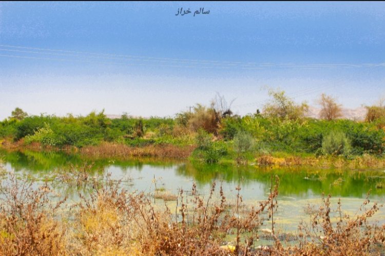 صور لنهر الخارد بعد عودته من أمام مدينة شبام الوجهة السياحية    كتب: سالم خراز