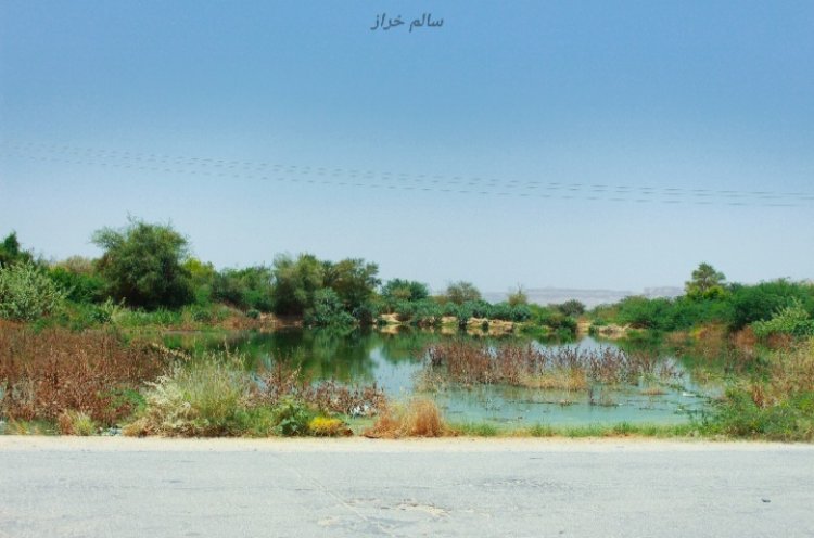 صور لنهر الخارد بعد عودته من أمام مدينة شبام الوجهة السياحية    كتب: سالم خراز