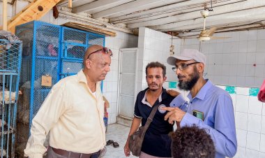 بإشراف الدكتور محمود بن جرادي.. مكتب الصناعة بصيرة ينفذ حملة لضبط أسعار الدواجن