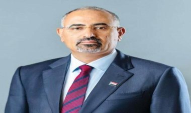 الرئيس الزبيدي يدعو جماهير الجنوب للاحتشاد في ذكرى ثورتي أكتوبر ونوفمبر