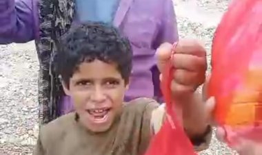 انخفاض سعر الدجاج يجذب أهالي حورة غنية إلى تورصة لشرائه بعد غياب أشهر