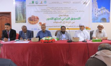 ورشة عمل بسيئون تبحث سبل تطوير وتسويق التمور ضمن مهرجان النخيل والتمور 2025