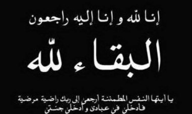 الوزير السقطري يعزي اللواء أحمد سعيد بن بريك في وفاة شقيقه وابن عمه