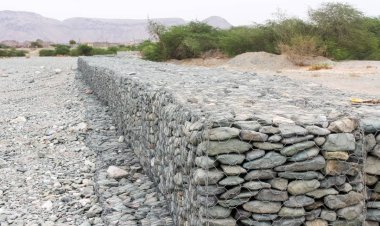 مدير عام بروم ميفع يتابع مشاريع زراعية ممولة من مركز الملك سلمان ومنظمة الغذاء العالمي بظلومة