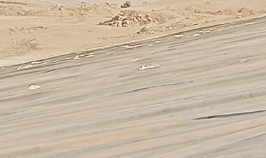 تقرير حول أهمية مشروع سد حسان الاستراتيجي