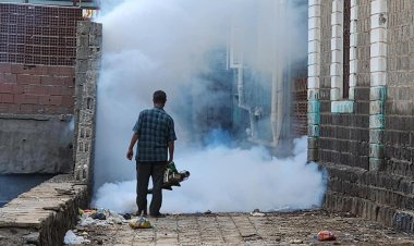 صحة البيئة بصيرة تنفذ حملة رش ضبابي ورذاذي لمكافحة البعوض عقب الأمطار