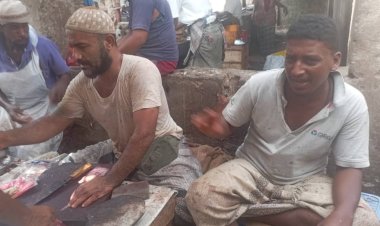 انخفاض كبير في أسعار الأسماك بأحور