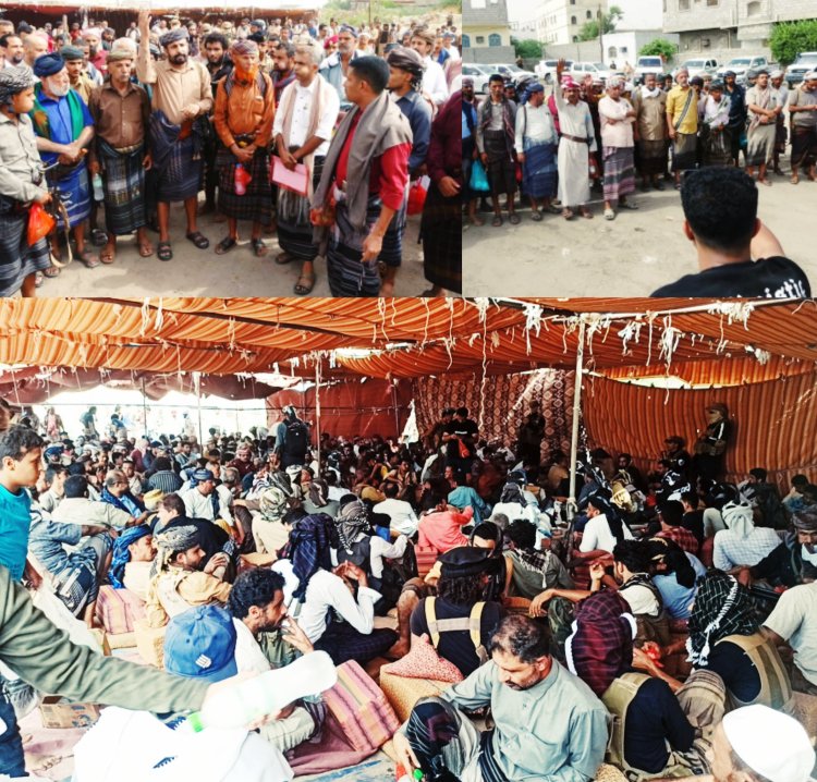 تحكيم قبلي من قبيلة المراقشة ينهي قضية تقطع لابناء الجرادمة- يافع بأبين