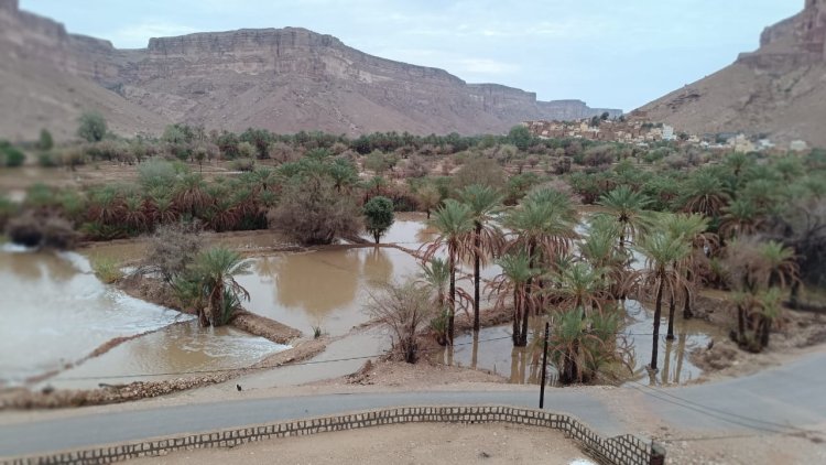 شاهد بالصور.. أمطار موسمية غزيرة بعد عام من الجفاف بمديرية رخية