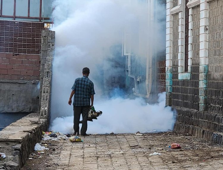 صحة البيئة بصيرة تنفذ حملة رش ضبابي ورذاذي لمكافحة البعوض عقب الأمطار