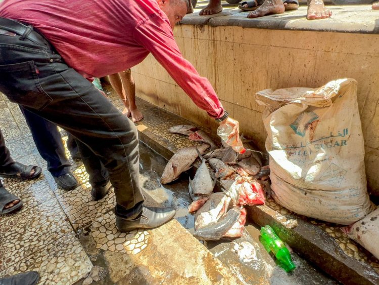 حملة رقابية بصيرة تنجح في ضبط وإتلاف أسماك فاسدة تهدد صحة المواطنين