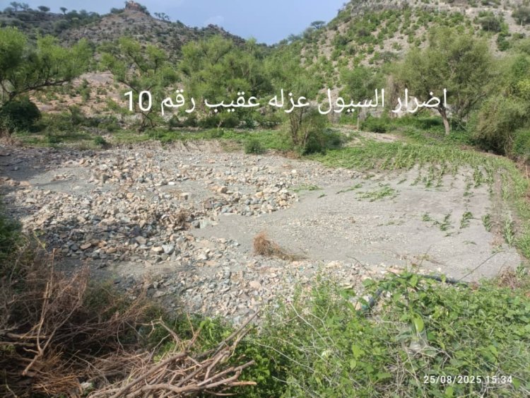 سيول الأمطار تلحق أضراراً جسيمة بالقطاع الزراعي في منطقة عُقيب بحجر بالضالع