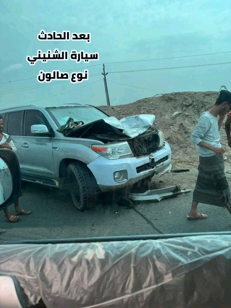 النشطاء الضباع