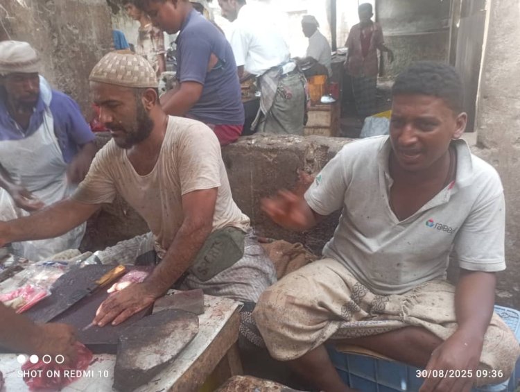 انخفاض كبير في أسعار الأسماك بأحور