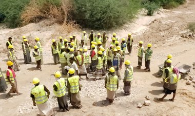 مدير عام القطن يتفقد سير تنفيذ مشروع (من الغذاء إلى الصمود) لتعزيز سبل العيش الزراعي