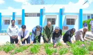 كلية المجتمع بسيئون تحتفل باليوم العالمي للأوزون بزراعة 100 شجرة لتعزيز الوعي البيئي