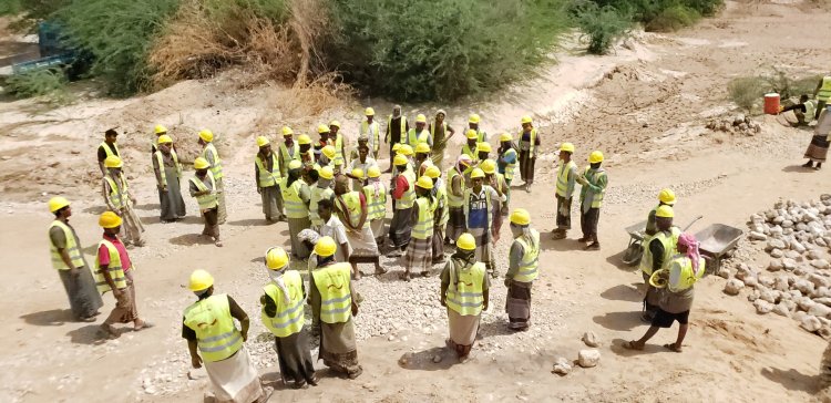 مدير عام القطن يتفقد سير تنفيذ مشروع (من الغذاء إلى الصمود) لتعزيز سبل العيش الزراعي