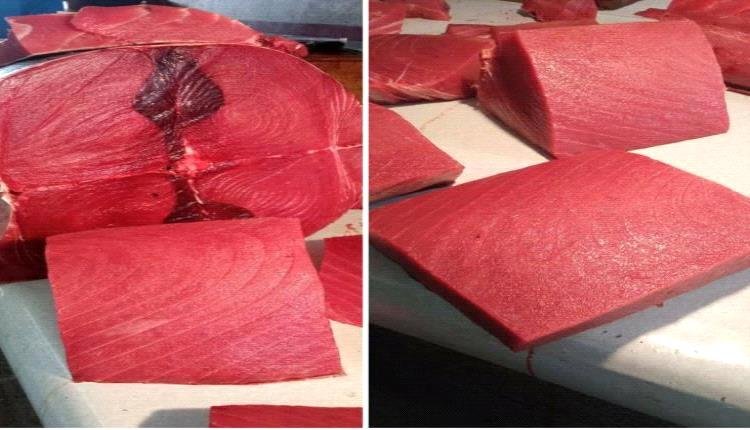 تعرف على أسعار الأسماك صباح اليوم بالعاصمة عدن