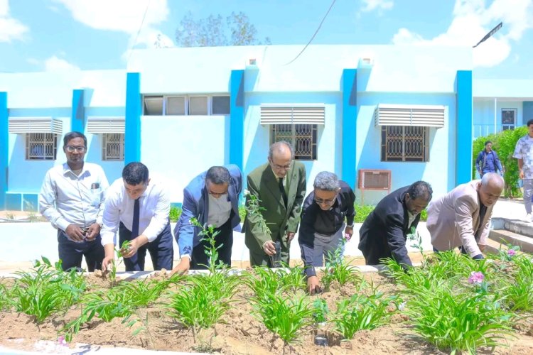 كلية المجتمع بسيئون تحتفل باليوم العالمي للأوزون بزراعة 100 شجرة لتعزيز الوعي البيئي