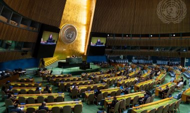 الفيتو الأمريكي يعرقل قرار غزة… والدول تبحث البدائل