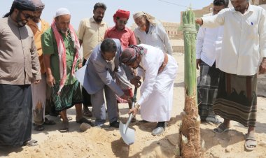 شبام تدشن مبادرة في بيتنا نخلة بزراعة 200 نخلة كمرحلة أولى لتعزيز الأمن الغذائي والمشهد الحضاري