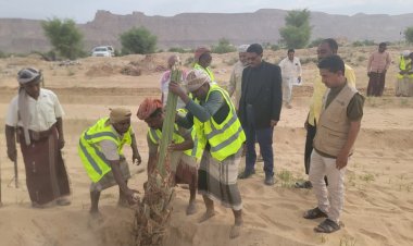 ضمن مبادرة في بيئتنا نخلة.. السلطة المحلية بمديرية تريم تدشن توزيع شتلات زراعية ضمن مشروع من الغذاء إلى الصمود