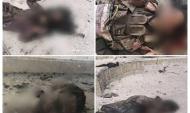 العميد نصر اليافعي.. قوات اللواء الأول دعم وإسناد تُفشل هجومًا إرهابيًا واسعًا لتنظيم القاعدة في المحفد وتُحبط محاولات التسلل للمجمع الحكومي