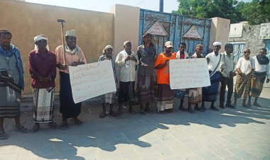 مزارعو زنجبار ينظمون وقفة احتجاجية تطالب بوقف التعديات في منطقة القريات الزراعية