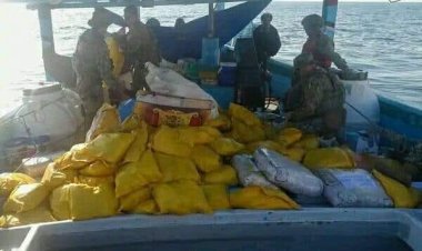 اشتباكات الغيضة تفضح شبكة تهريب دولية عبر حدود المهرة