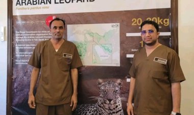 الوفد البيئي بالمهرة يشارك في ورشة إقليمية حول حماية الحياة الفطرية وتكاثر النمر العربي في الطائف